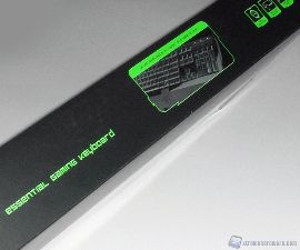 razer arctosa 5b